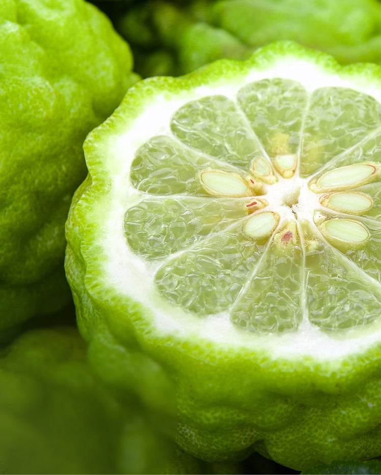 What is bergamot oil? Bergamot oil info, uses, and benefits