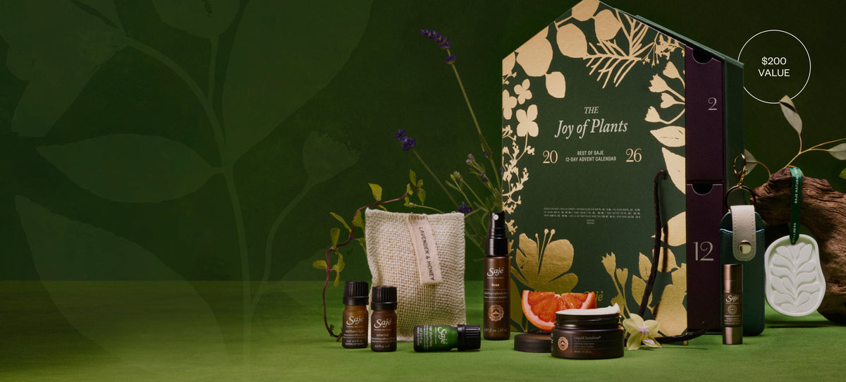 The Wait is Over! Introducing The Joy of Plants Advent Calendar