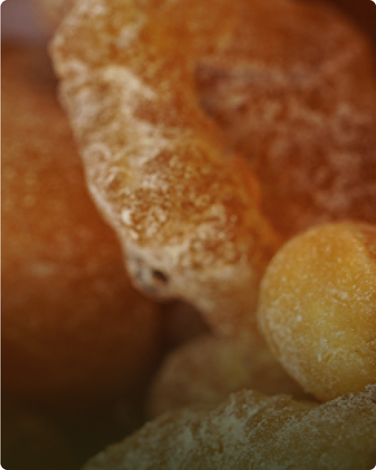 Copaiba - What is it?