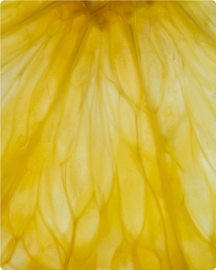 ALL ABOUT LEMON OIL &amp; THE LEMON PLANT