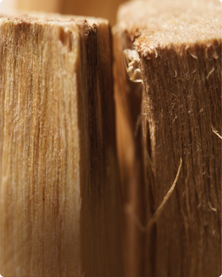 WHAT IS SANDALWOOD OIL? SANDALWOOD OIL INFO, USES, AND BENEFITS