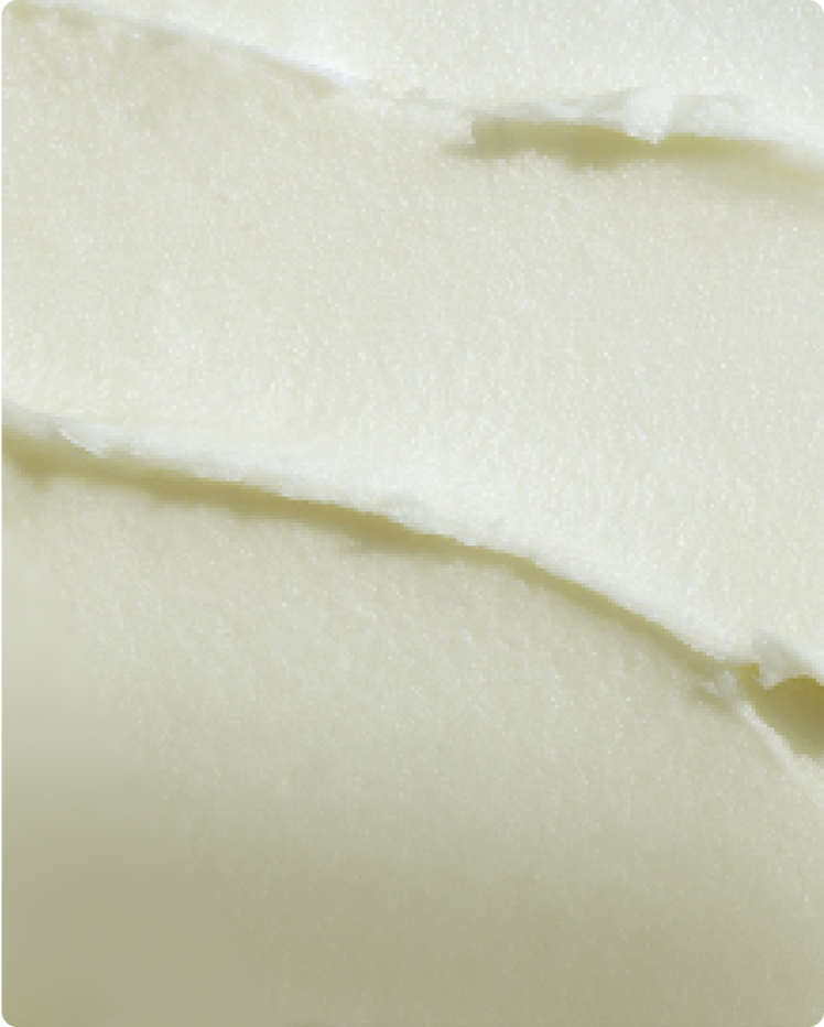 The benefits, uses, and history of shea butter and the shea tree