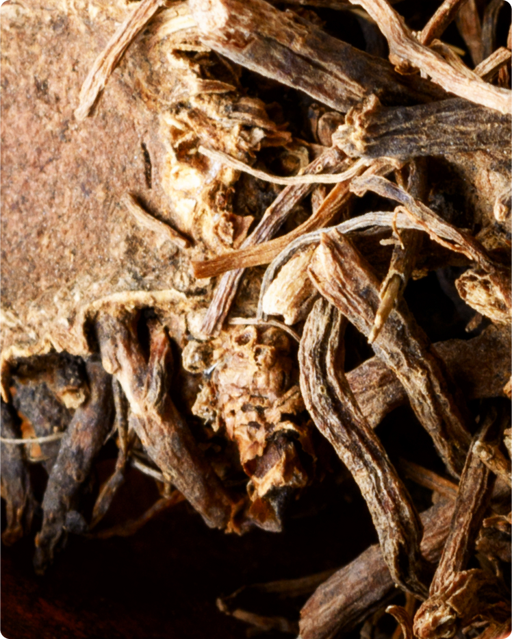 Valerian Root - What is it?