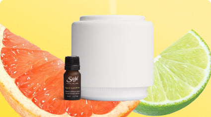 Aroma Halo Bundle [up to $22 off]