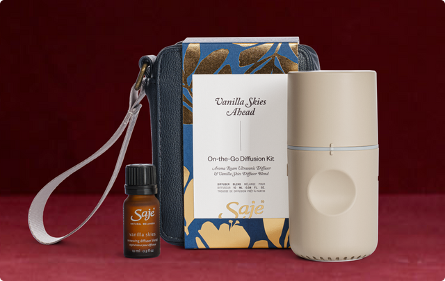On-The-Go Diffusion Kit