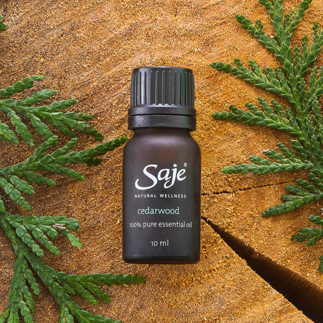 Cedarwood single note essential oil brown bottle on a cedarwood background with greenery